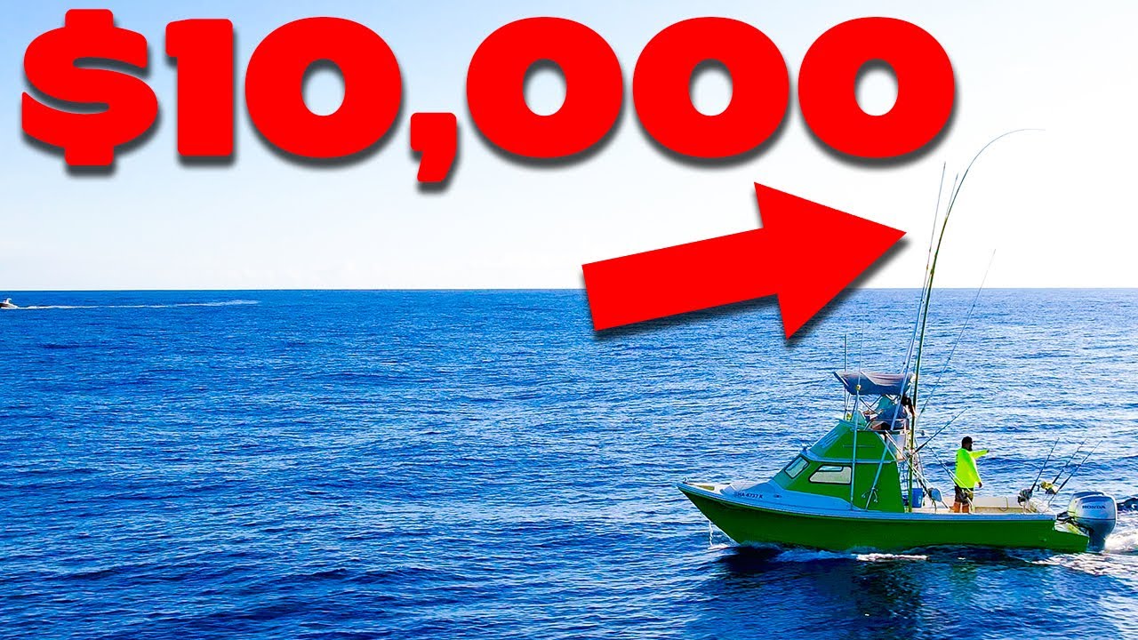 Most expensive Rod for Tuna Fishing!