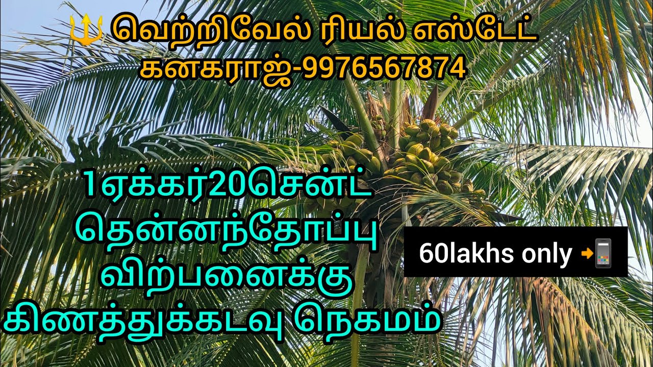 107) 1ஏக்கர்20சென்ட் தென்னந்தோப்பு விற்பனைக்கு கிணத்துக்கடவு நெகமம் #landforsale#realestate#farmland