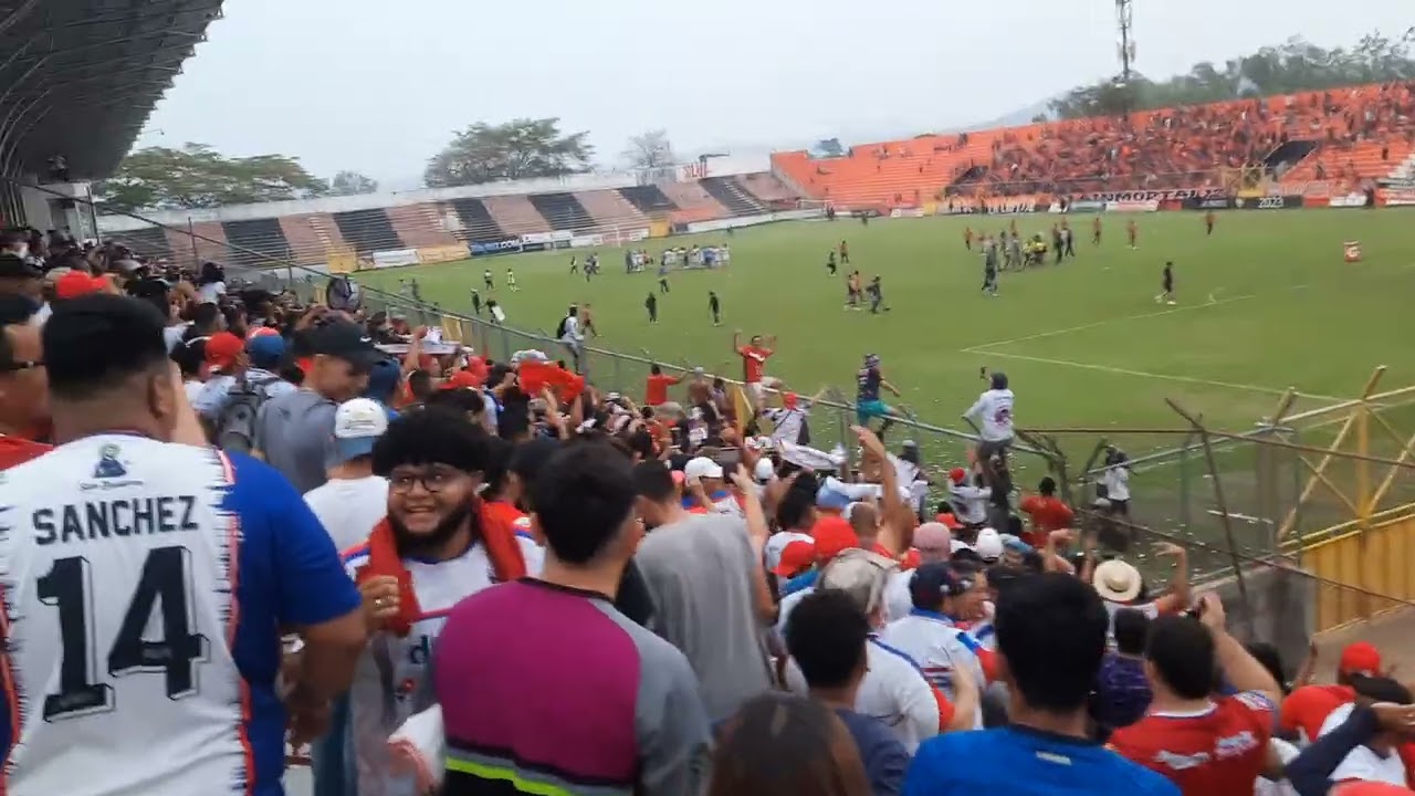 Furia pampera
