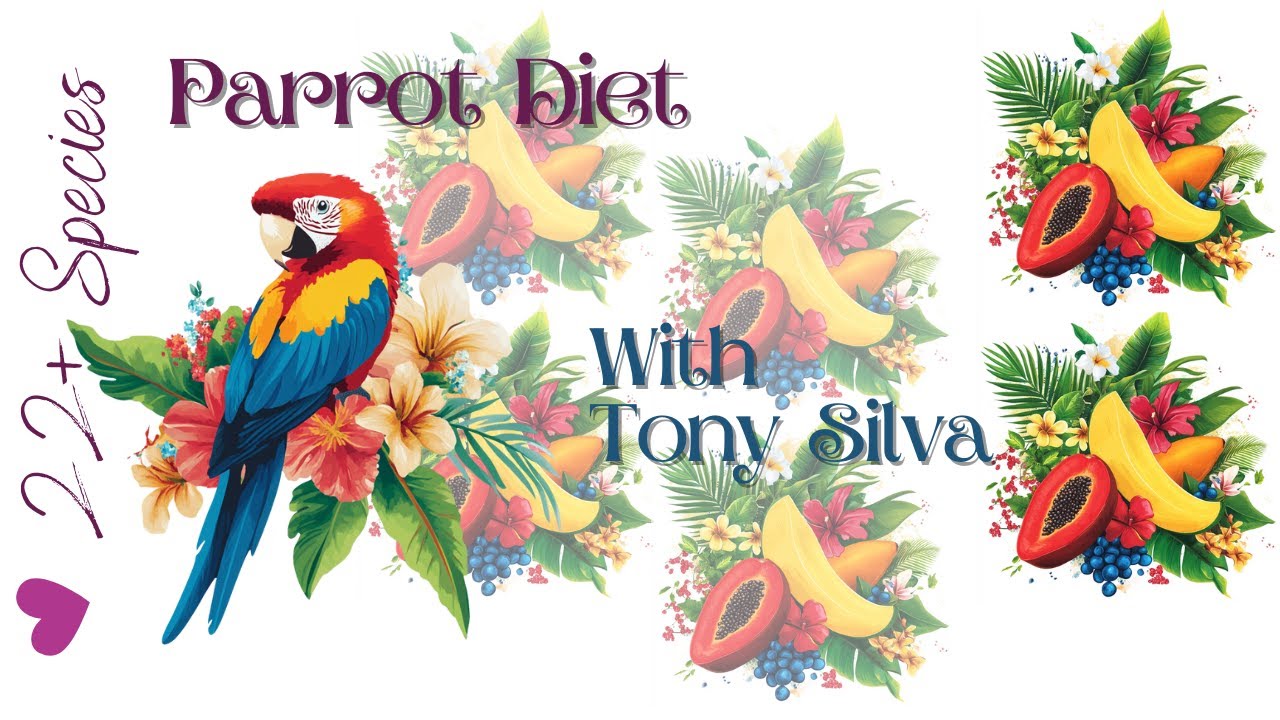 Tony Silva's Insta On Diet: What Fruit Should You Feed Your #parrot ? | #parrot_bliss #parrotdiet