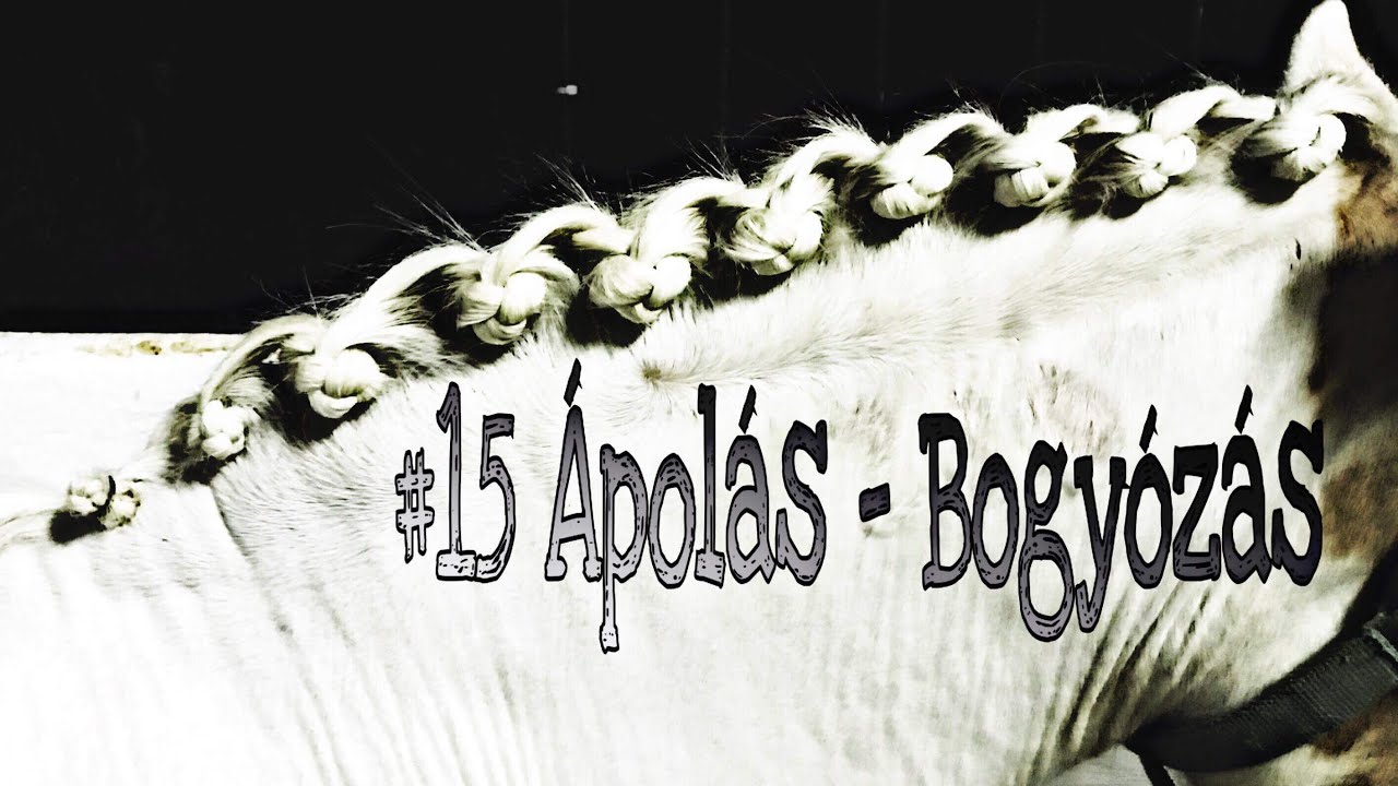 Ápolás - Bogyózás | Hosszú & rövid sörényre