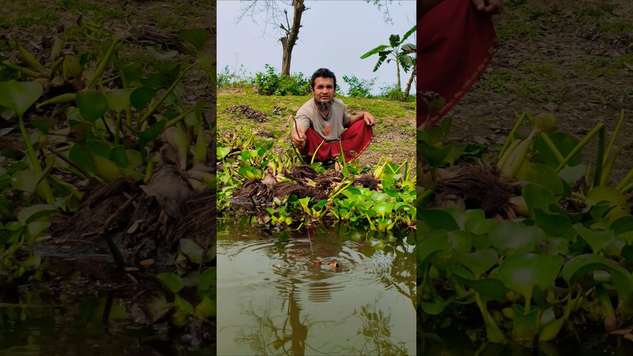 new best Fishing video #trending #funny #foryou #shorts #ytshorts #viral #bangladesh