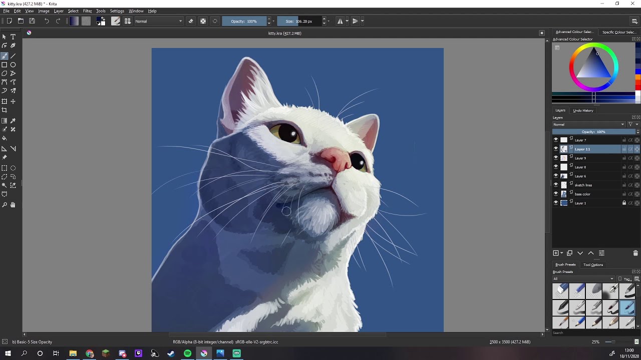 CAT aesthetic drawing