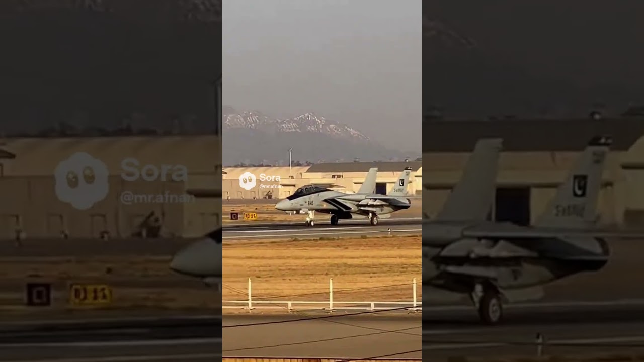 Pakistan Air Force F-14 Tomcat 