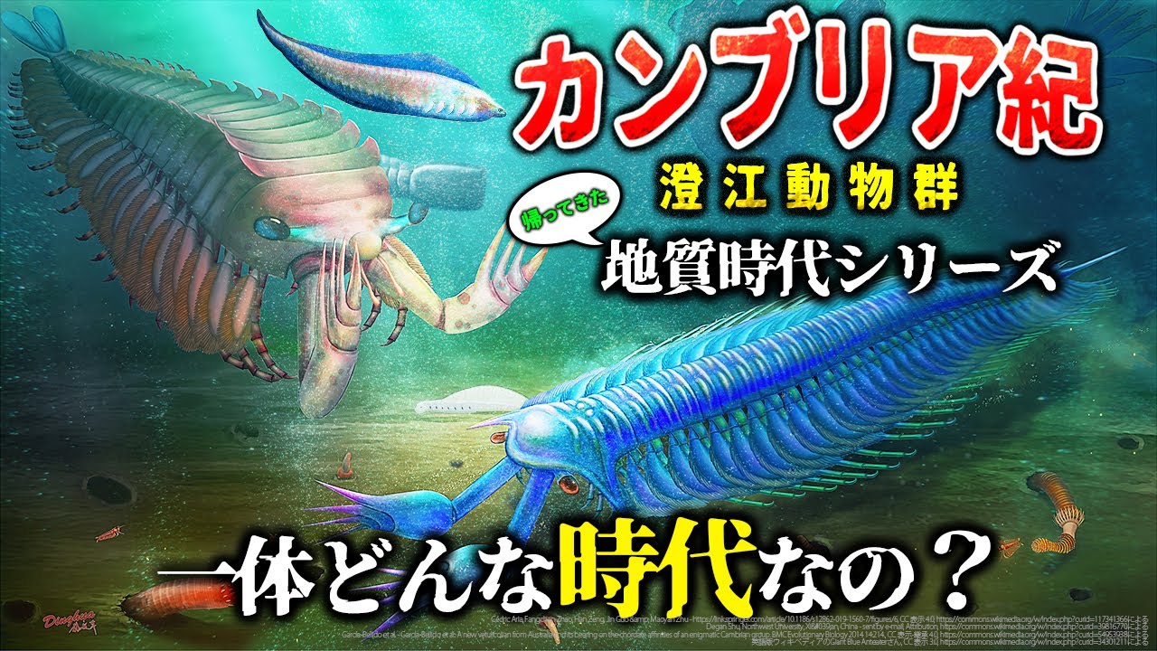 【ゆっくり解説】帰ってきた地質時代シリーズ  カンブリア紀第三期とは一体何なのか？