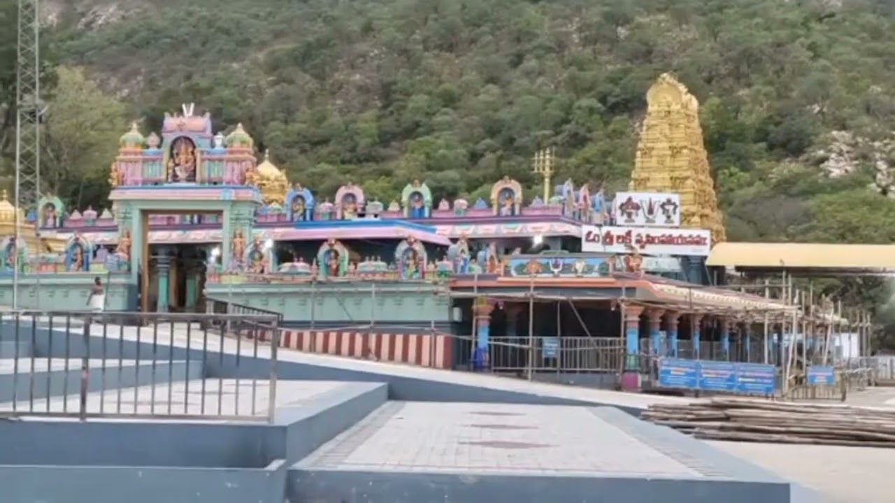 #Penchalakona Temple Today Live Video #Shorts @NarasimhaSwamyShorts 