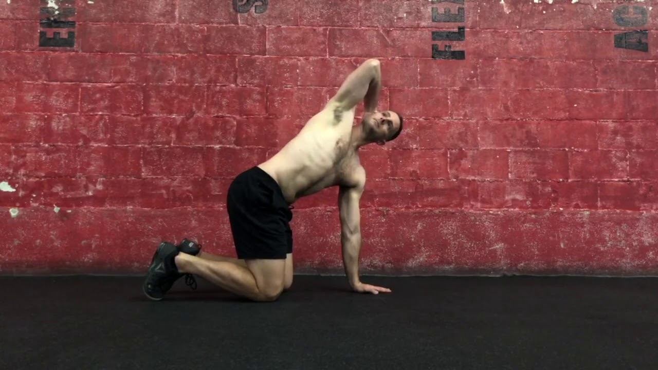 Quadruped trunk rotation