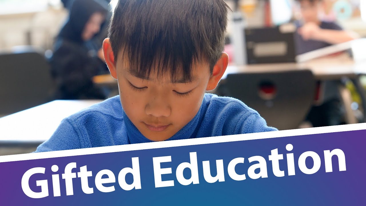 Educaci&oacute;n Gifted