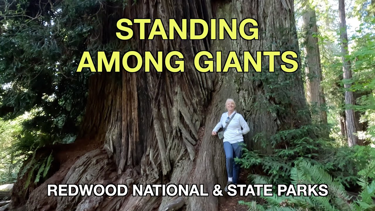 Prairie Creek Redwoods & The Big Tree | Redwood National and State Parks
