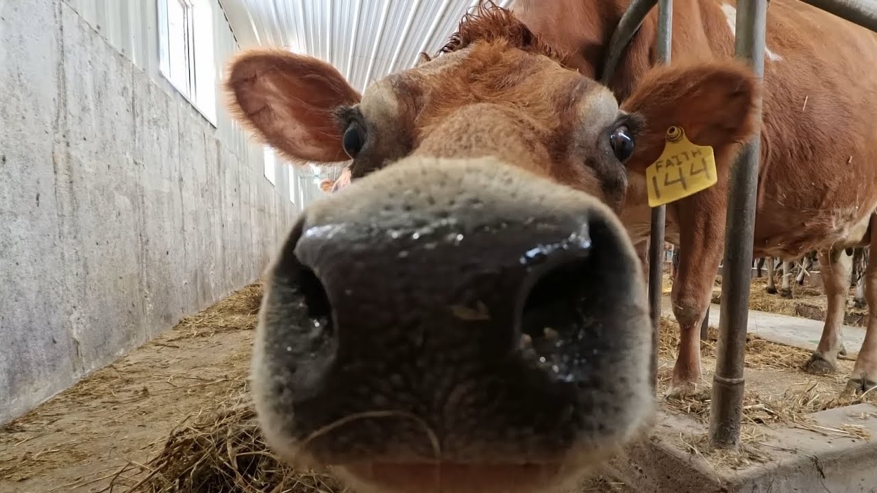 Another Blessed Day on the Farm!