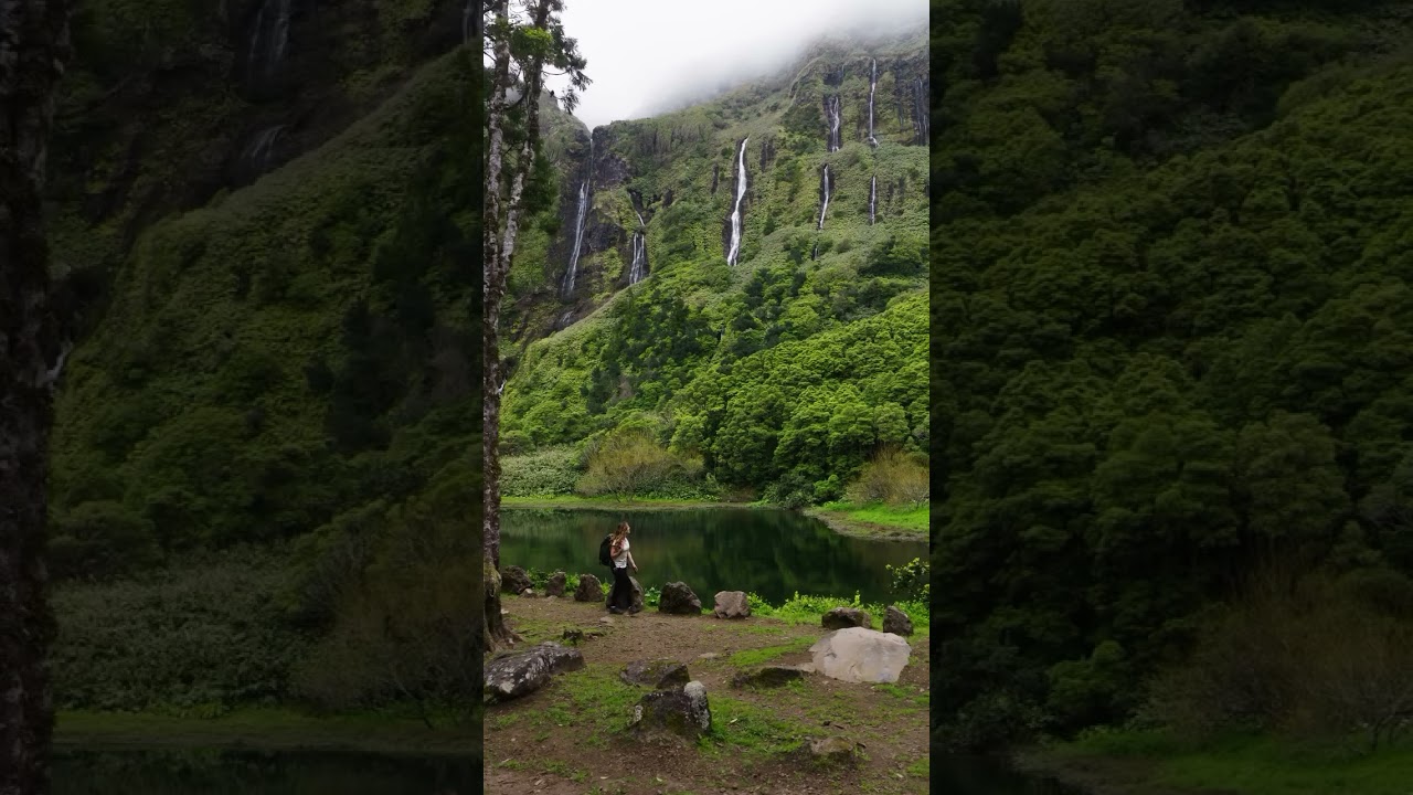 Nat&uuml;rel vibe_✨🍃 #nature #shortsviral #foryou #natureshorts #explore #naturelovers #viral