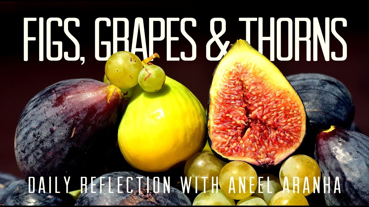 Daily Reflection with Aneel Aranha | Luke 6:43-49 | September 12, 2020