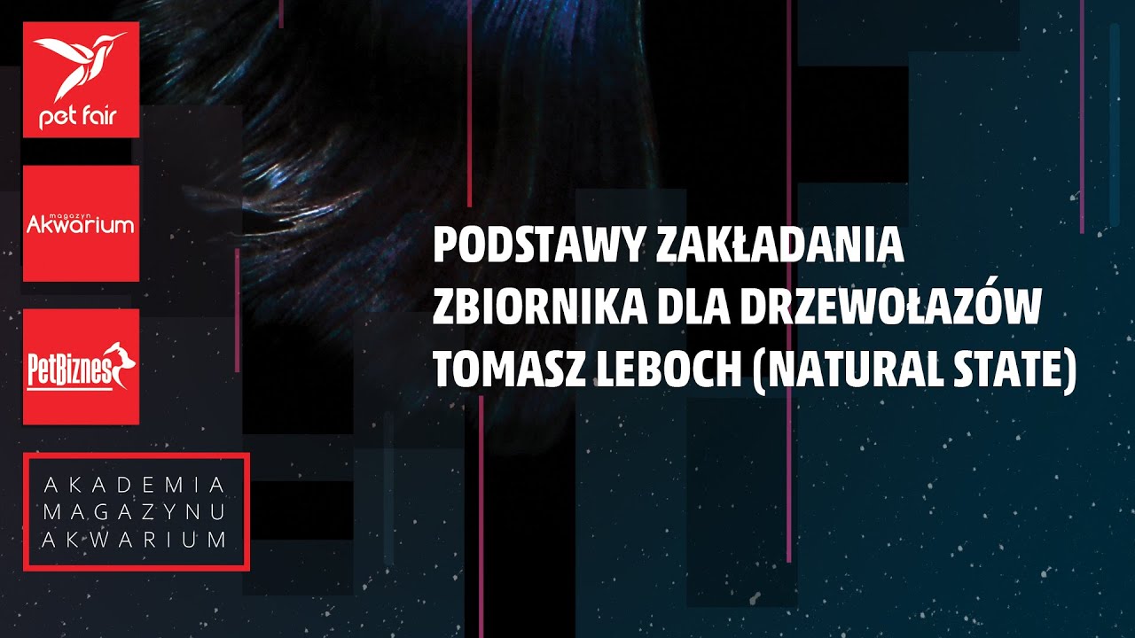 Podstawy zakładania zbiornika dla drzewołazów – Tomasz Leboch (Natural State)