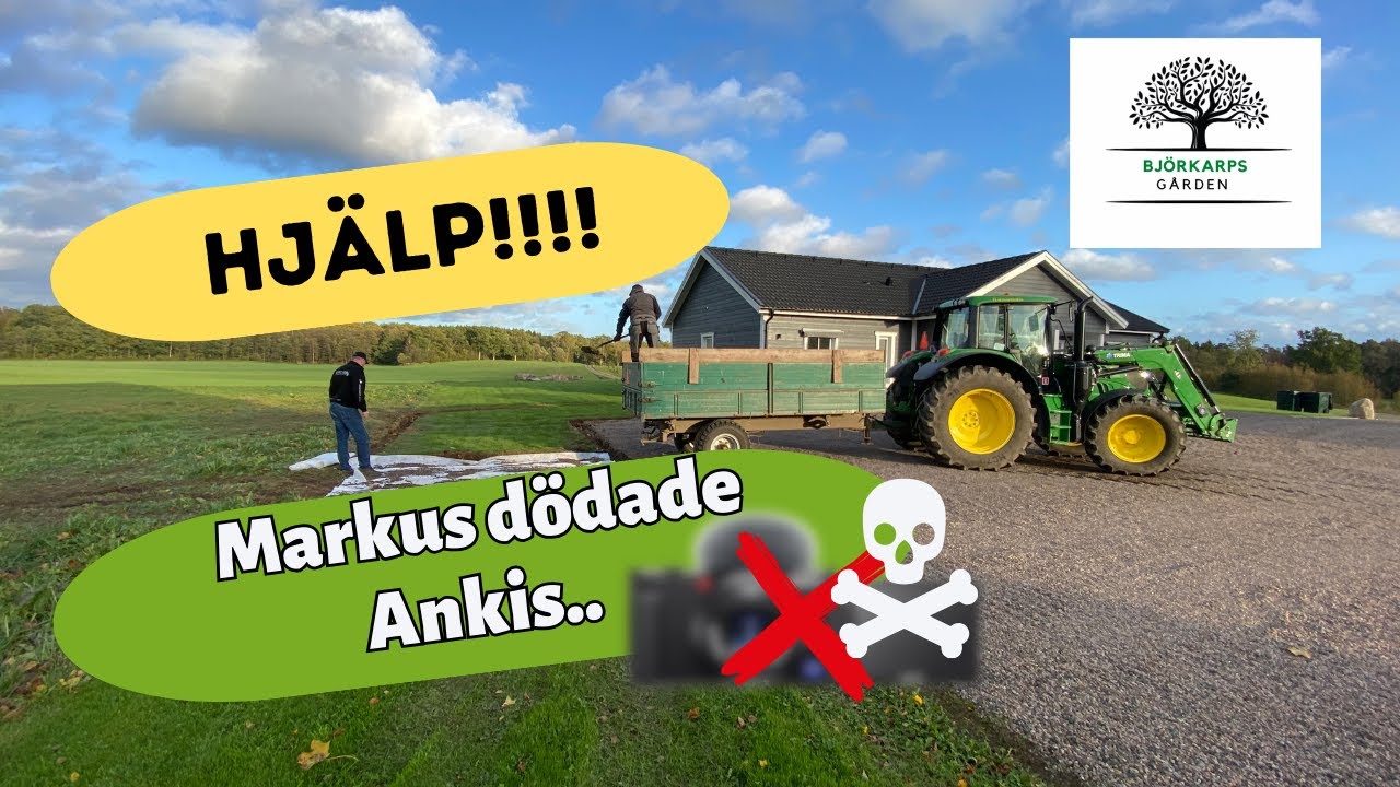 Markus gjorde en DUNDERTABBE, plumsigt!! Avant och John Deere jobbar för att bygga en ny hundgård!
