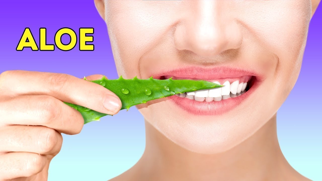 30 TRUCCHI INGEGNOSI CON L’ALOE VERA