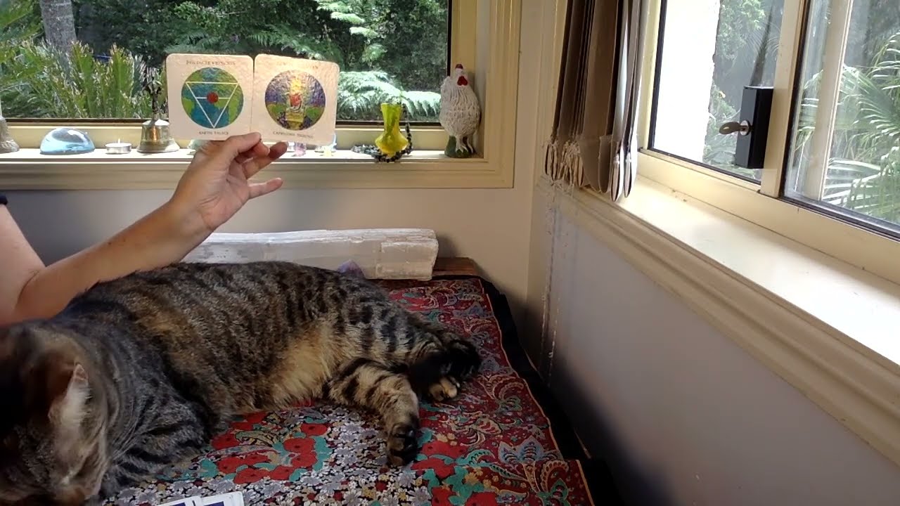 LEO TAROT READING 