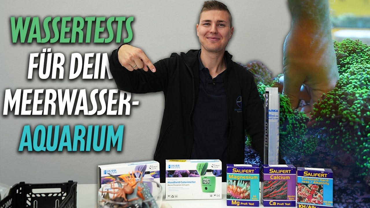 Wassertest mit Max- PlanktonPlus Aquaristik