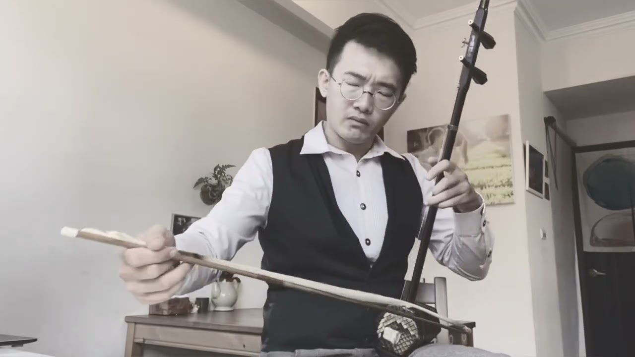 《若不是你》二胡演奏