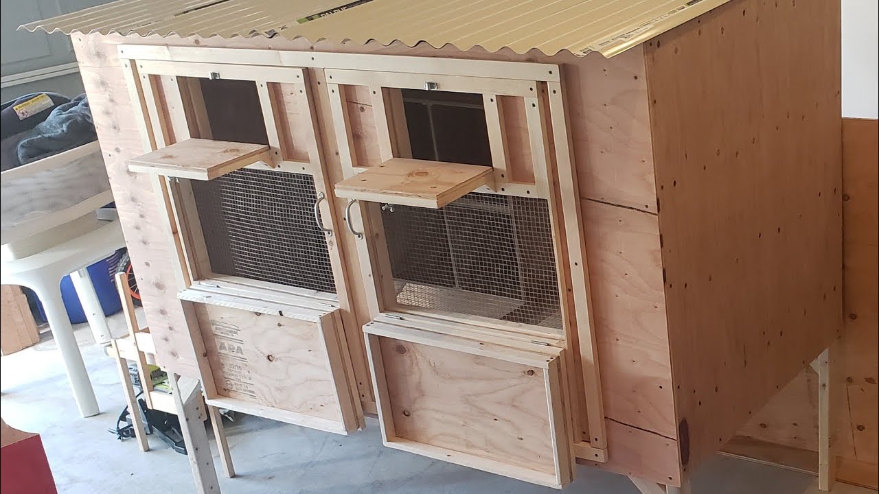 Pigeon Kitbox - Loft Update! 🕊 🕊 🕊
