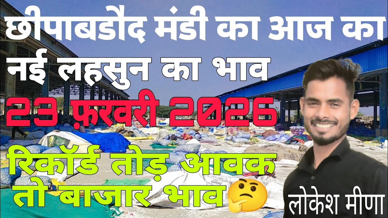 छिपाबडौद मंडी का आज का नई ऊटी लहसुन का भाव | Aaj Ka Ooty Lahsun ka bhav | Lahsun ka bhav aaj ka 