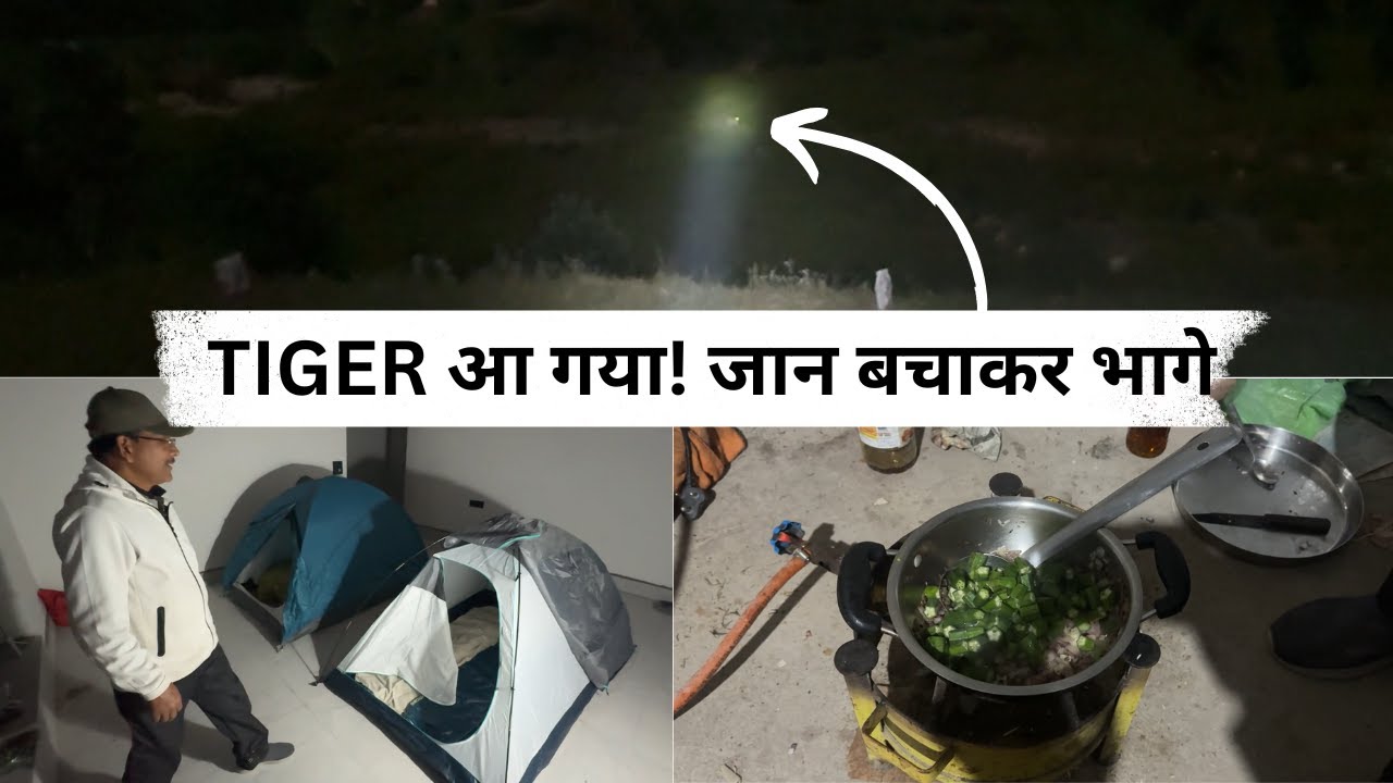 रात की कैंपिंग में अचानक TIGER सामने… जान बचाकर भागना पड़ा!