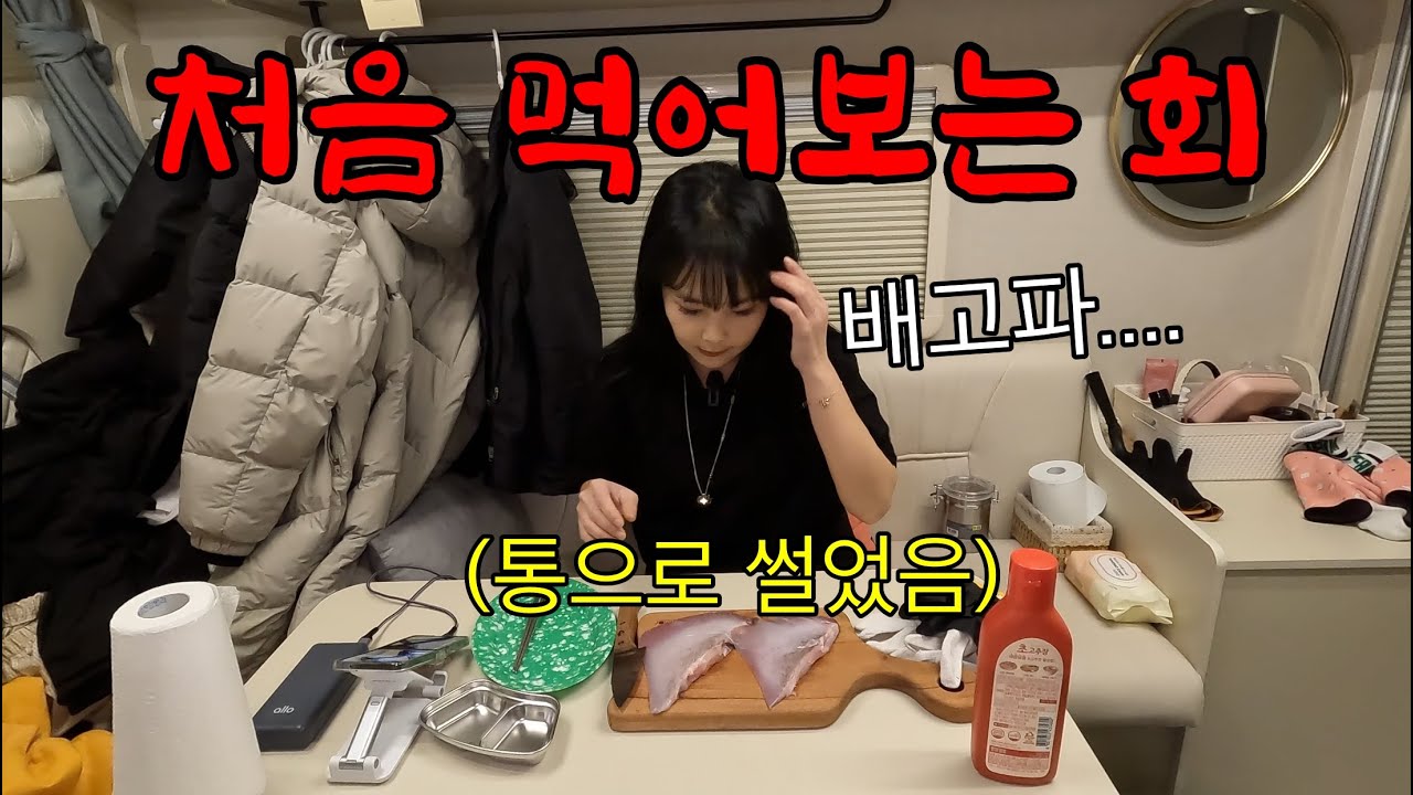 왕새우 미끼에 쉽게 잡히는 이 녀석을 회로 먹어도 될까?