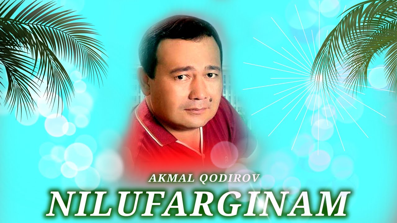 АКМАЛ ҚОДИРОВ НИЛУФАРГИНАМ, AKMAL QODIROV NILUFARGINAM