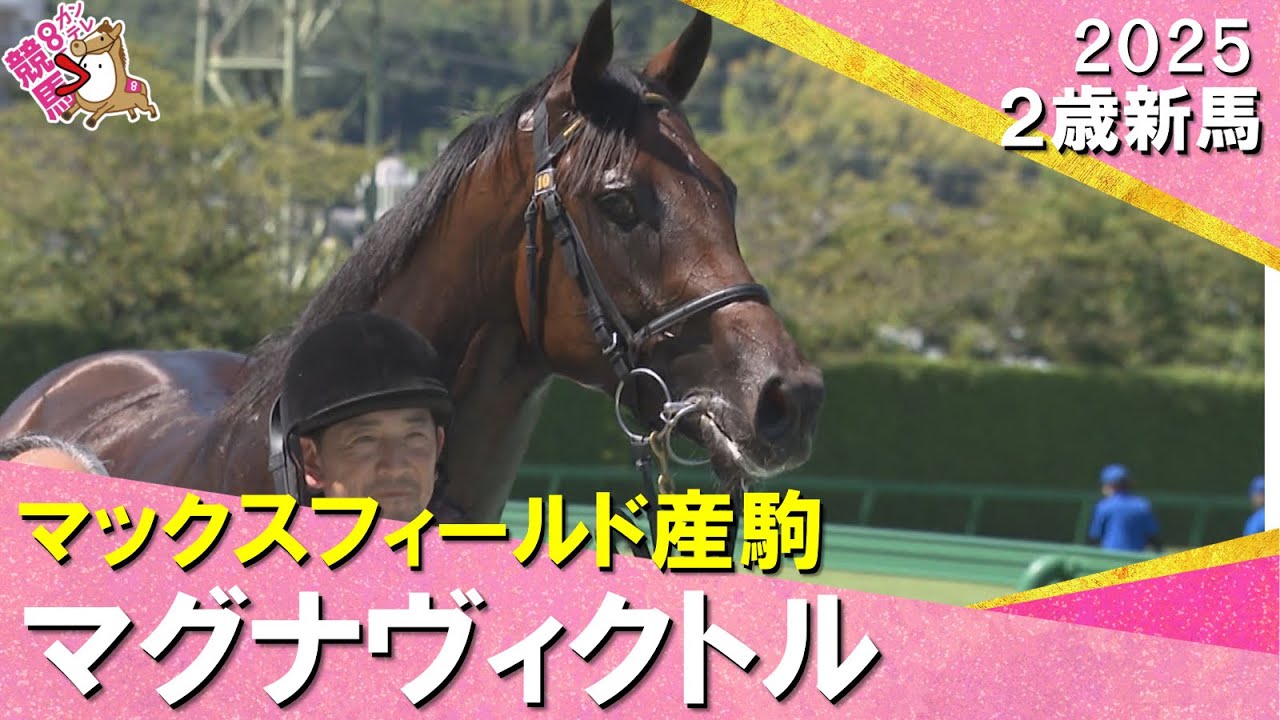 【衝撃の大差勝ち】マグナヴィクトルが圧巻の逃げ切り！川田騎手「能力があるのは間違いない」　2025年 9月6日(土)２歳新馬　阪神ダート1400m　実況：石田一洋【カンテレ公式】