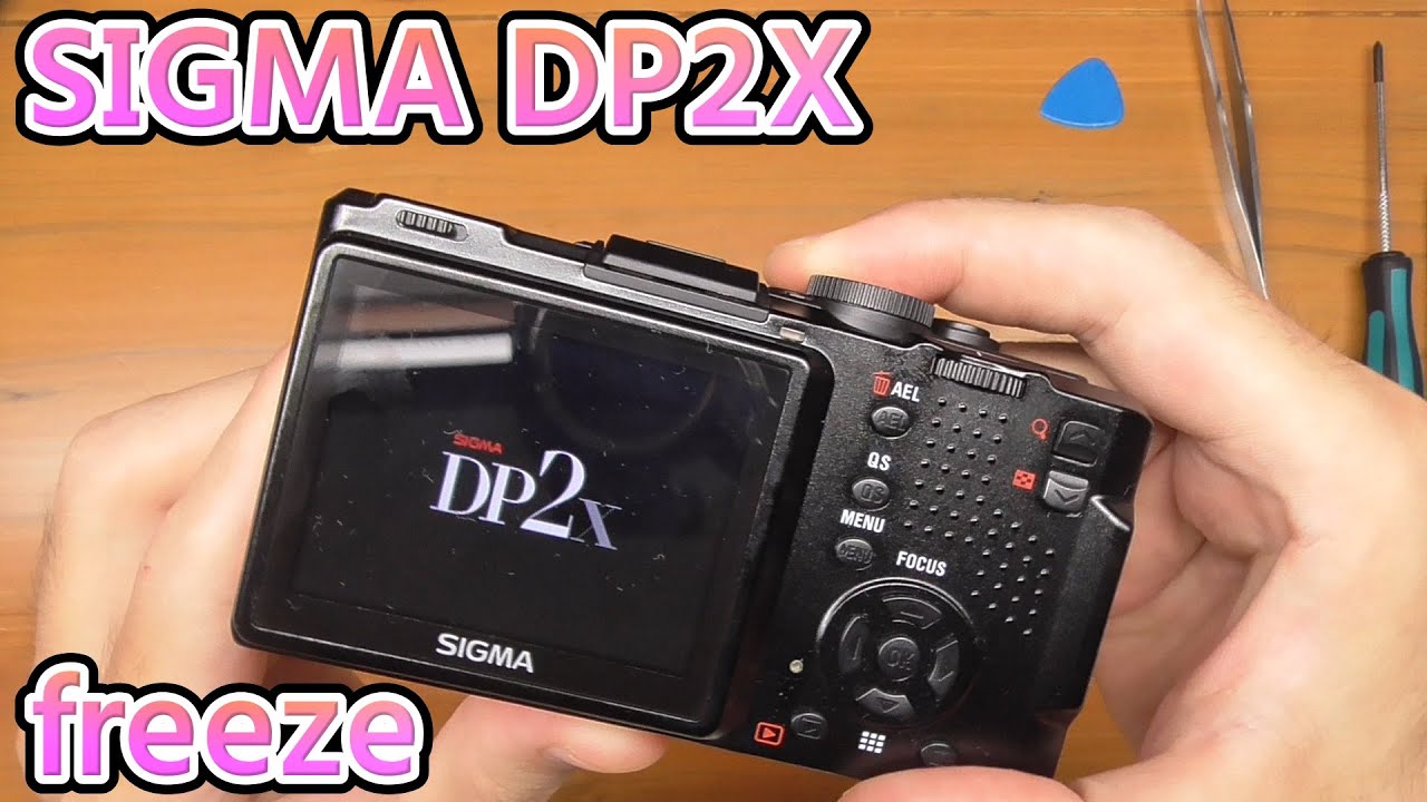 SIGMA DP2X freeze repair digest and full-record