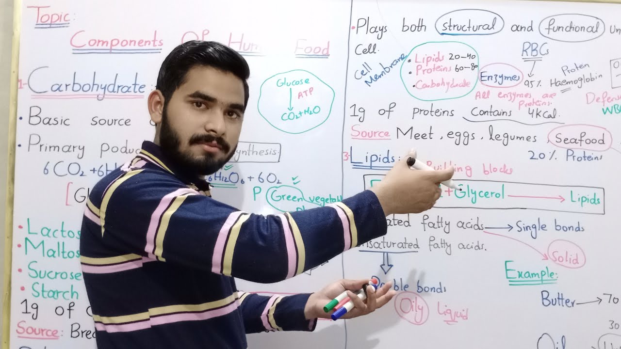 Components Of Food In Urdu Hindi By Mr Hadi || Carbohydrates || Proteins || Lipids || Class 9