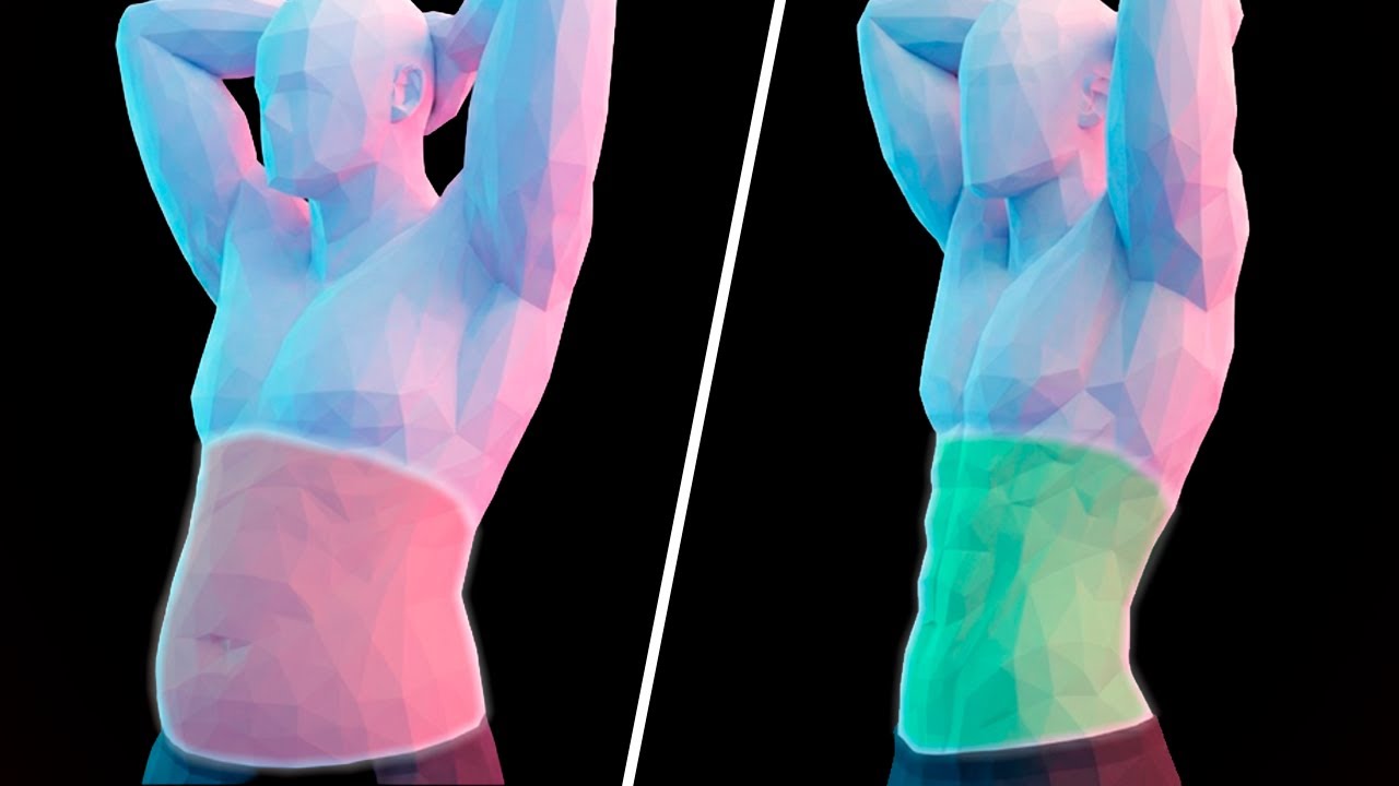 Simple Science of the Best Exercises to Define Your Abs at Home or at the Gym