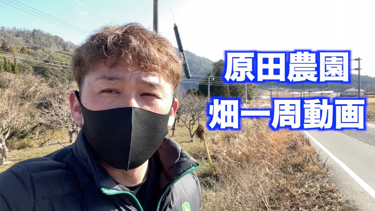 原田農園の久しぶりの畑一周動画22/1/6