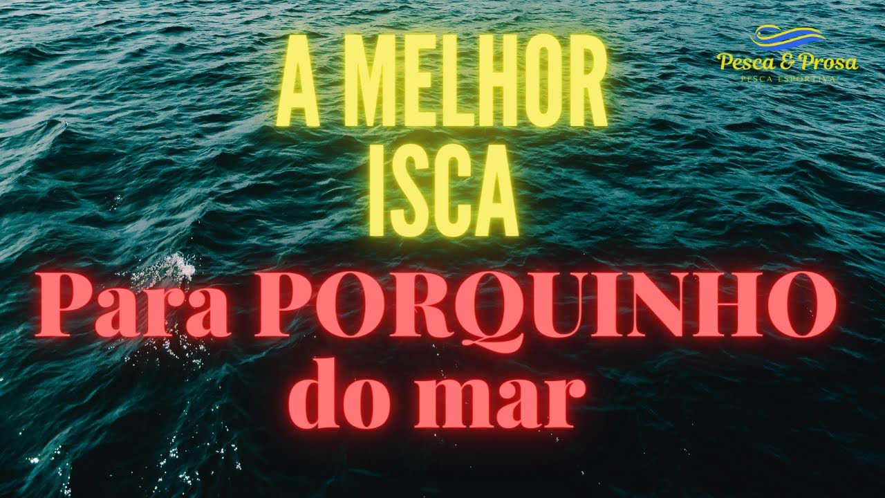 ISCA PARA PORQUINHO DO MAR - ESQUE&Ccedil;A o Camar&atilde;o e a Lula na pesca de Porquinho, DESCOBRIMOS A MELHOR