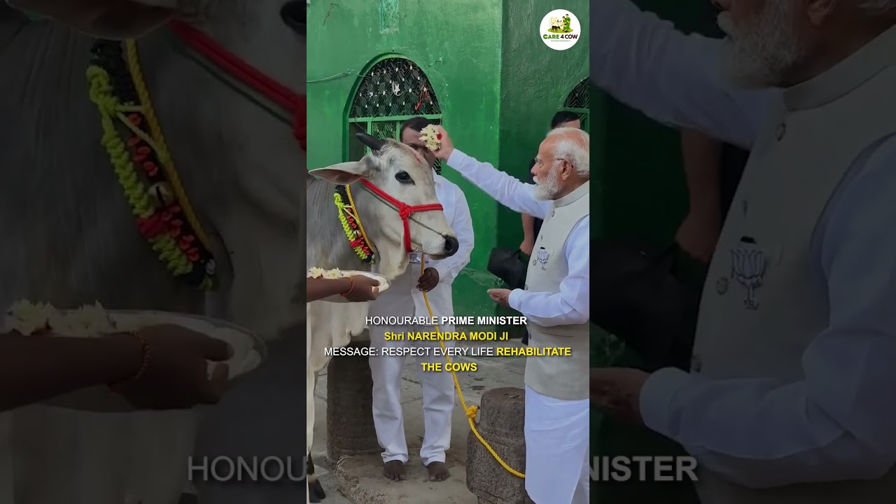 The True Essence of Seva