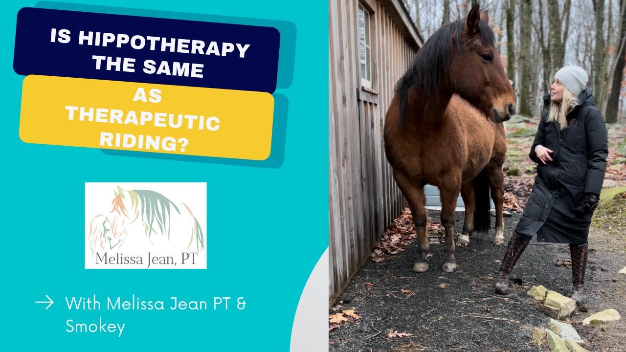 Is Hipppotherapy the same as Therapeutic Riding?