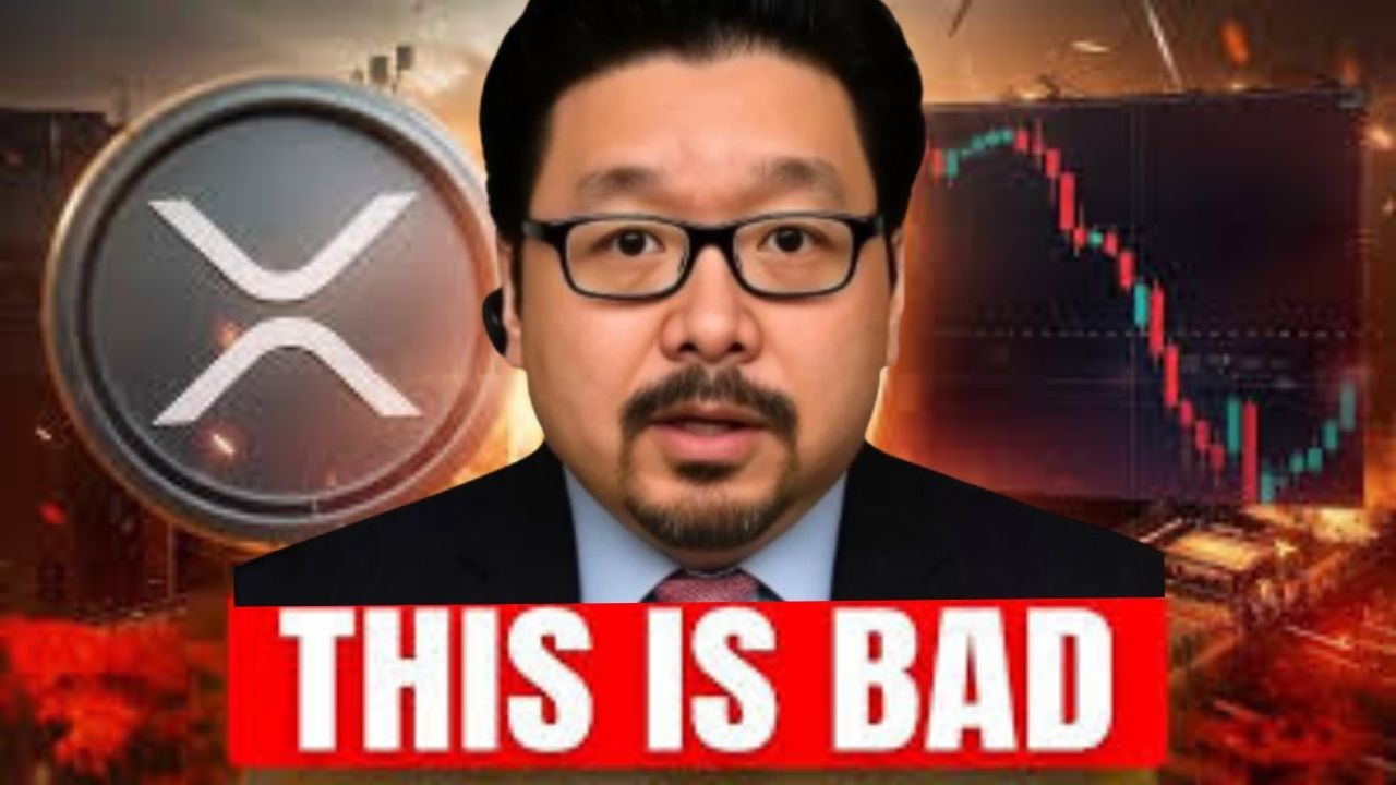 XRP. Это ОЧЕНЬ плохо.