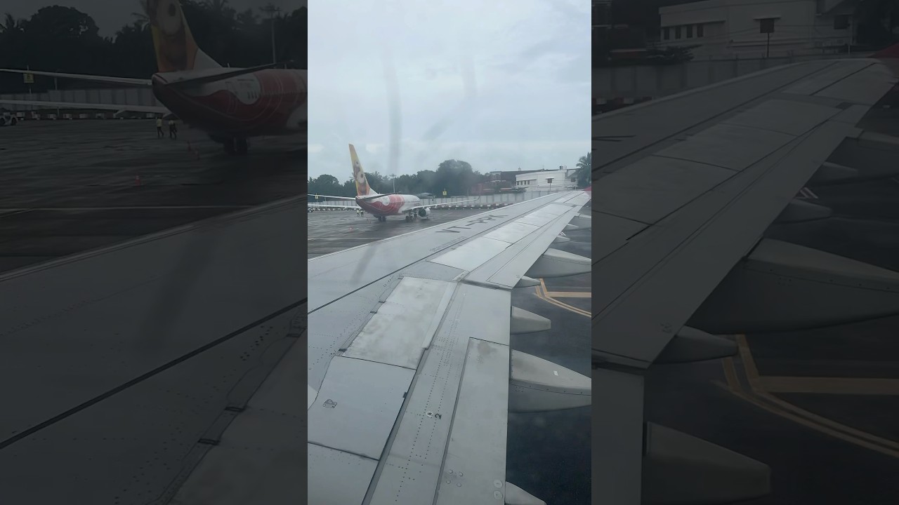 Technical snag of Air India Flight#flight crash#trending #adoptstrays