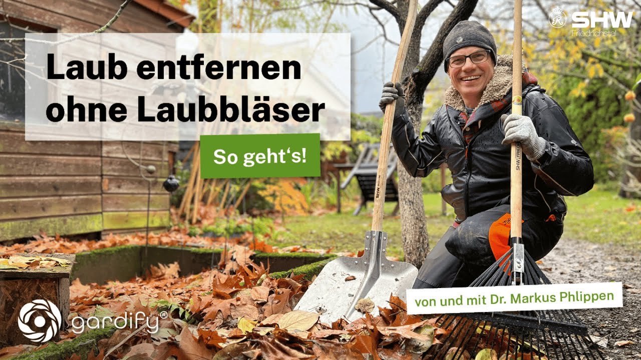 Effiziente Herbstarbeit mit Gartengeräten von SHW Friedrichstal