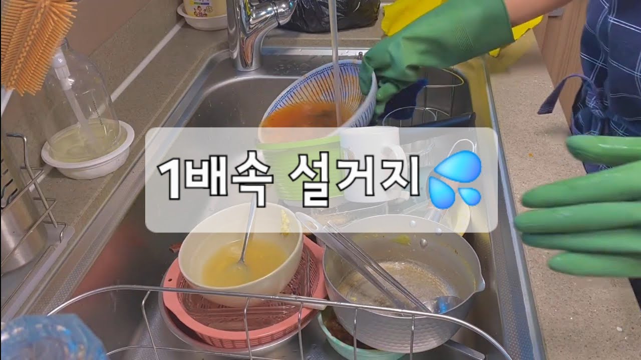 설거지 브이로그 | 1배속 설거지😄