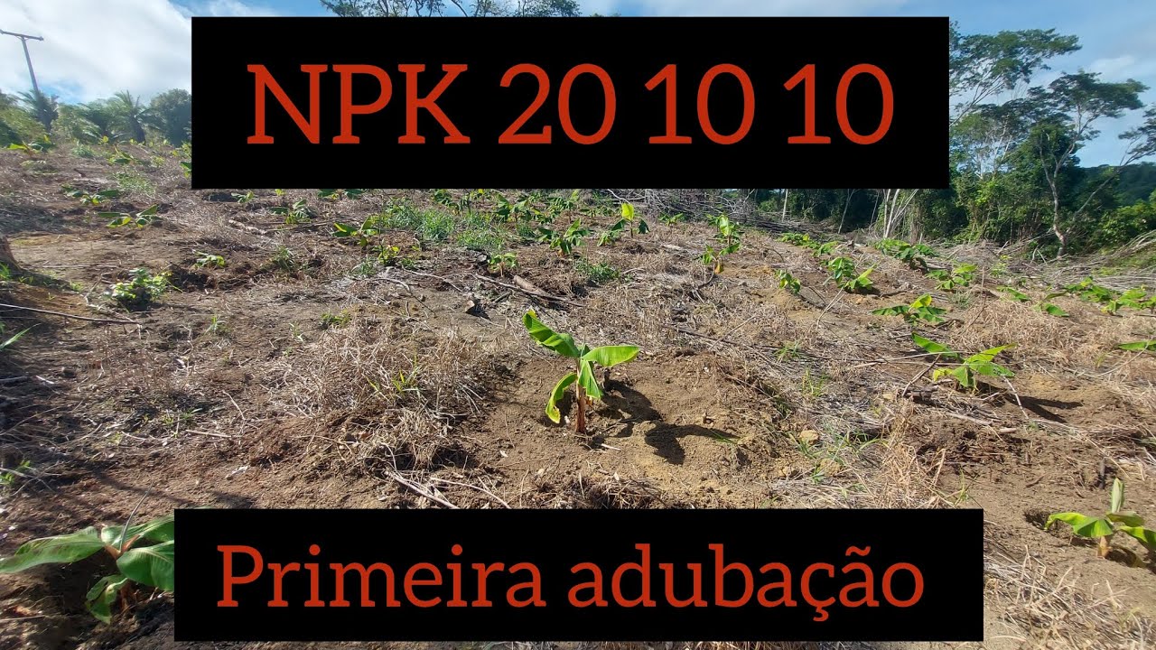 ADUBAÇÃO com NPK 20 10 20