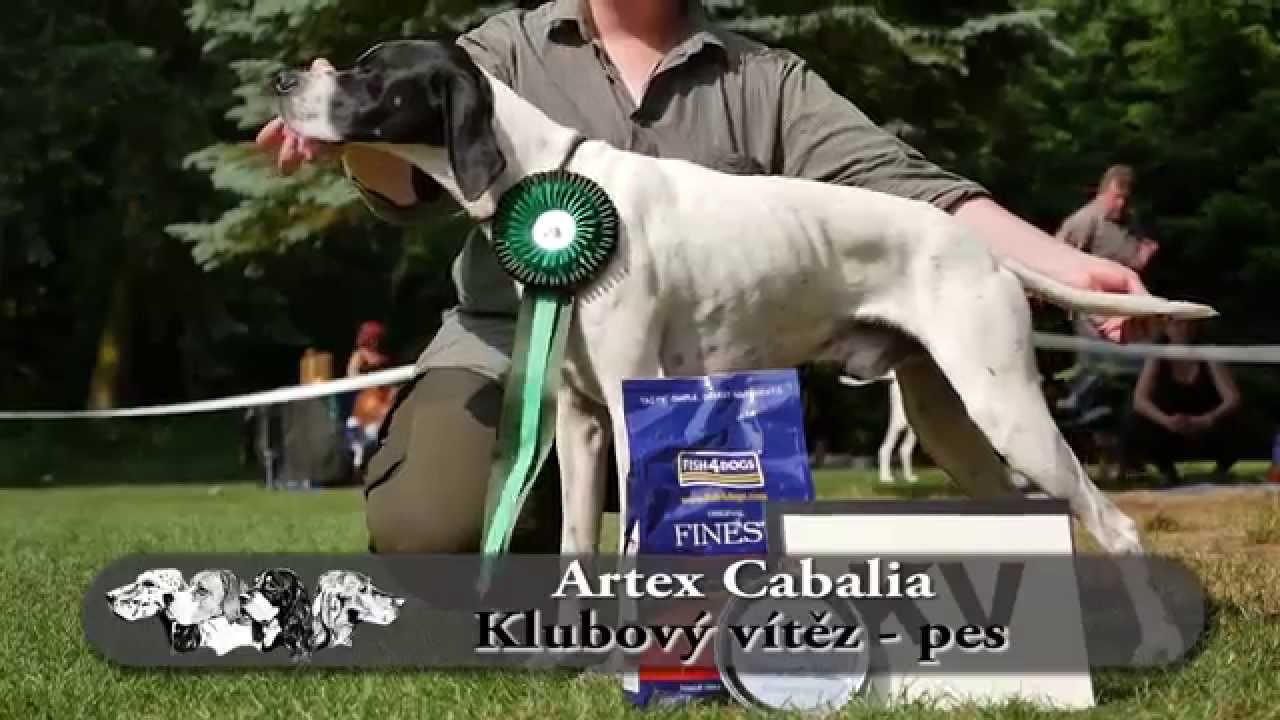 Klubová výstava CPSK 2015