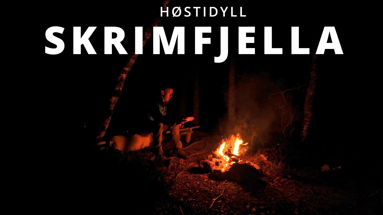 Skrimfjella - Høstidyll i granskogen