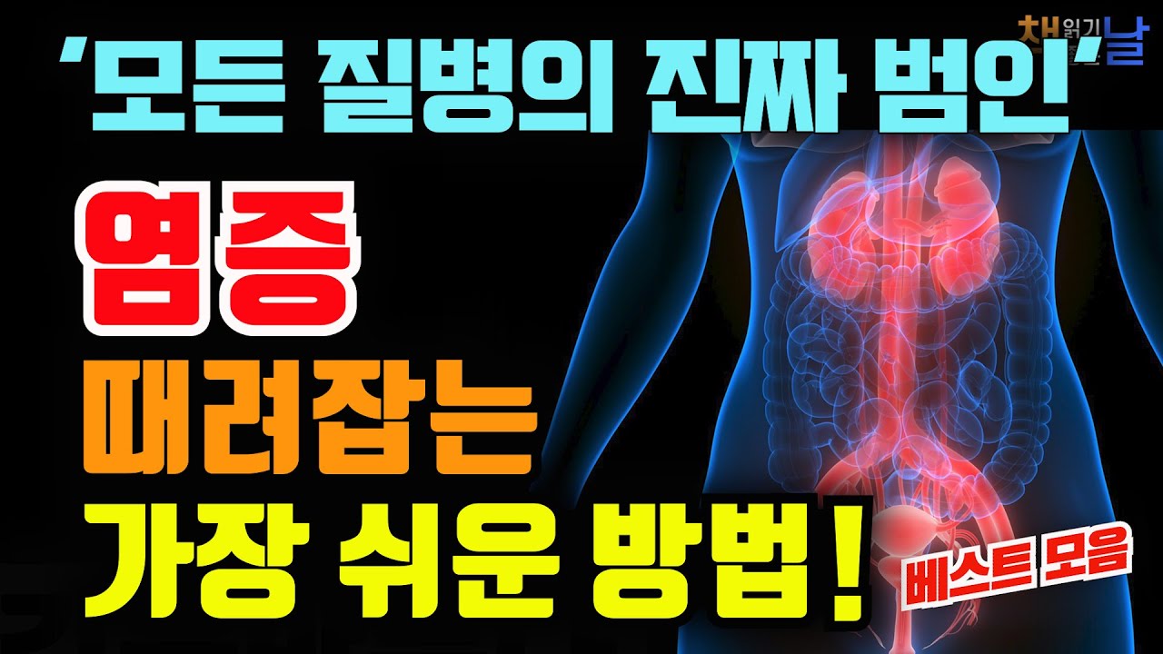 나이 들수록 염증 관리가 중요한 이유, 의사들이 강조하는 핵심 원칙│마음이 편해지는 책듣고 힐링하기, 오디오북 책읽어주는여자 audiobook