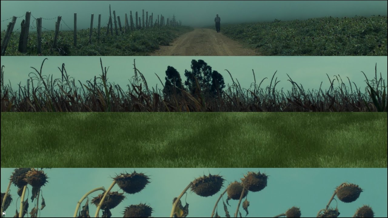 Shot on Bmpcc og | visual therapy