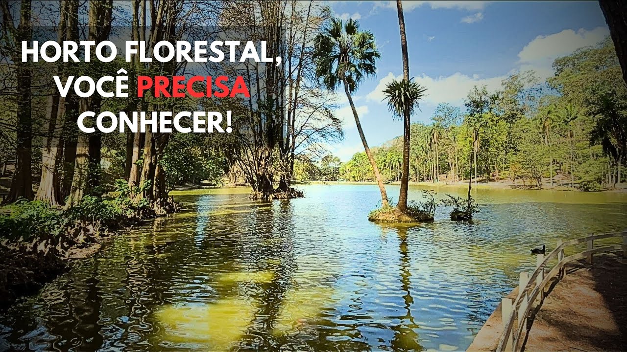 HORTO FLORESTAL SP: ME IMPRESSIONOU O QUE VI - by Aina Carvalho