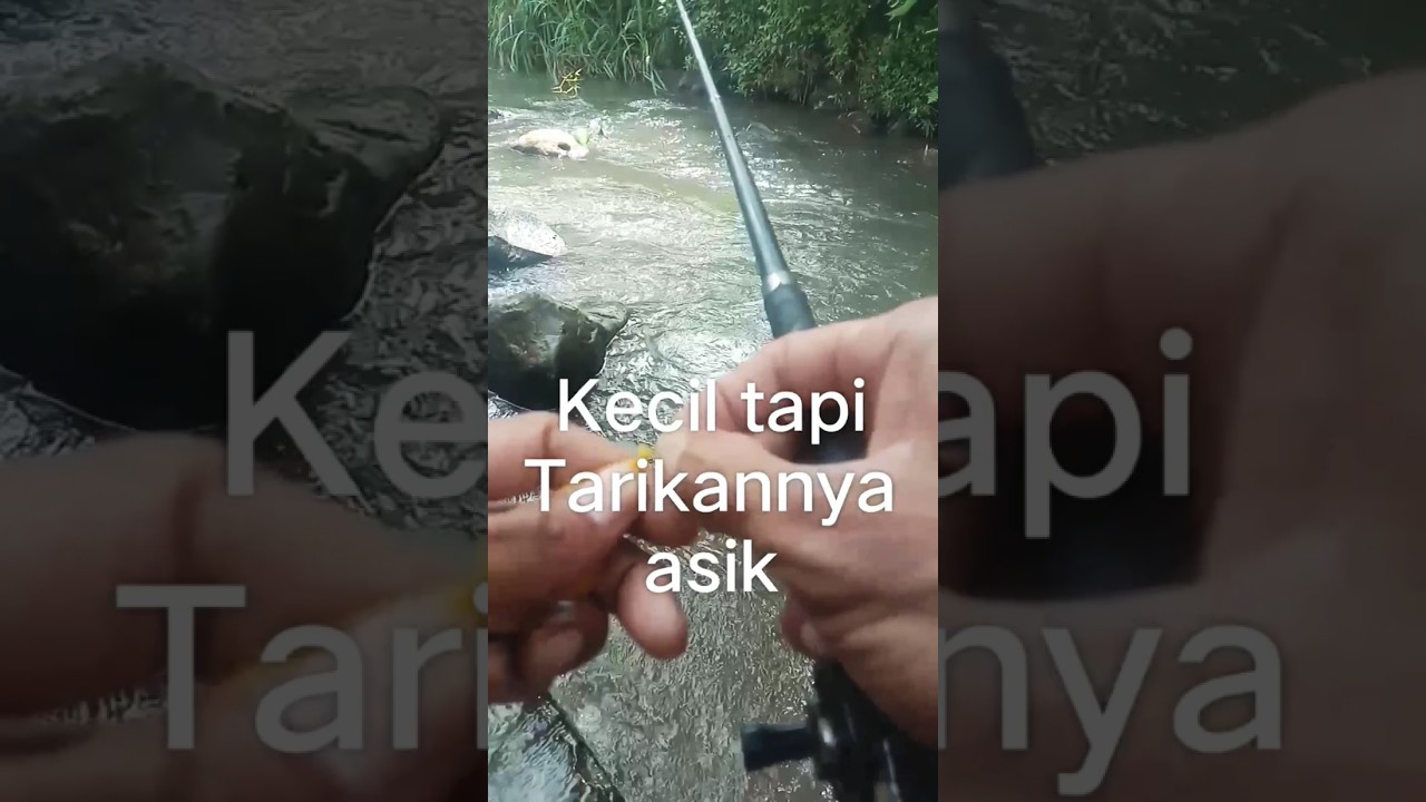 Kecil tapi asik 