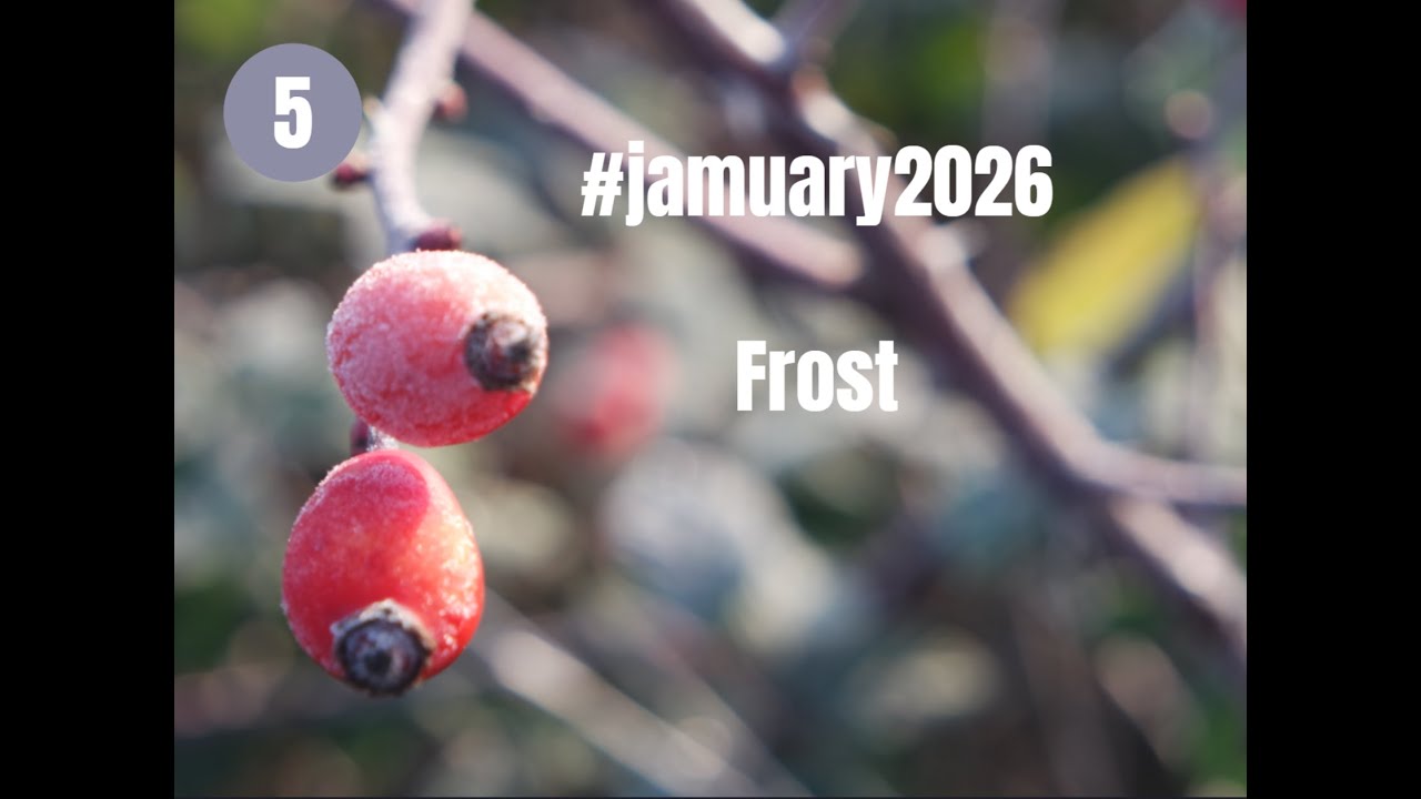 Frost - #jamuary2026 Day 5