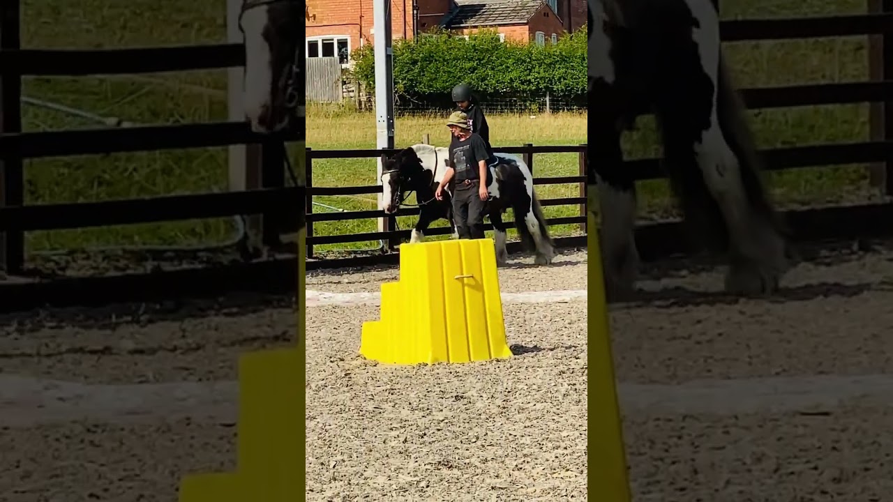 First day of riding lesson