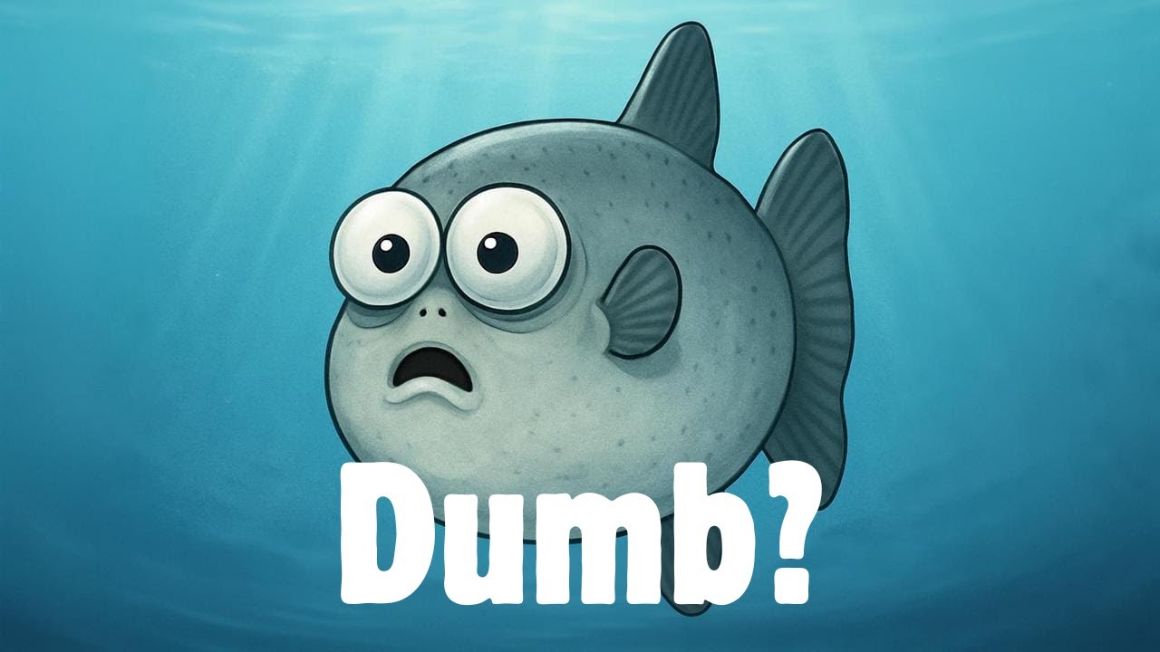 The Dumbest Animal Alive — Nature’s Strangest Survivor