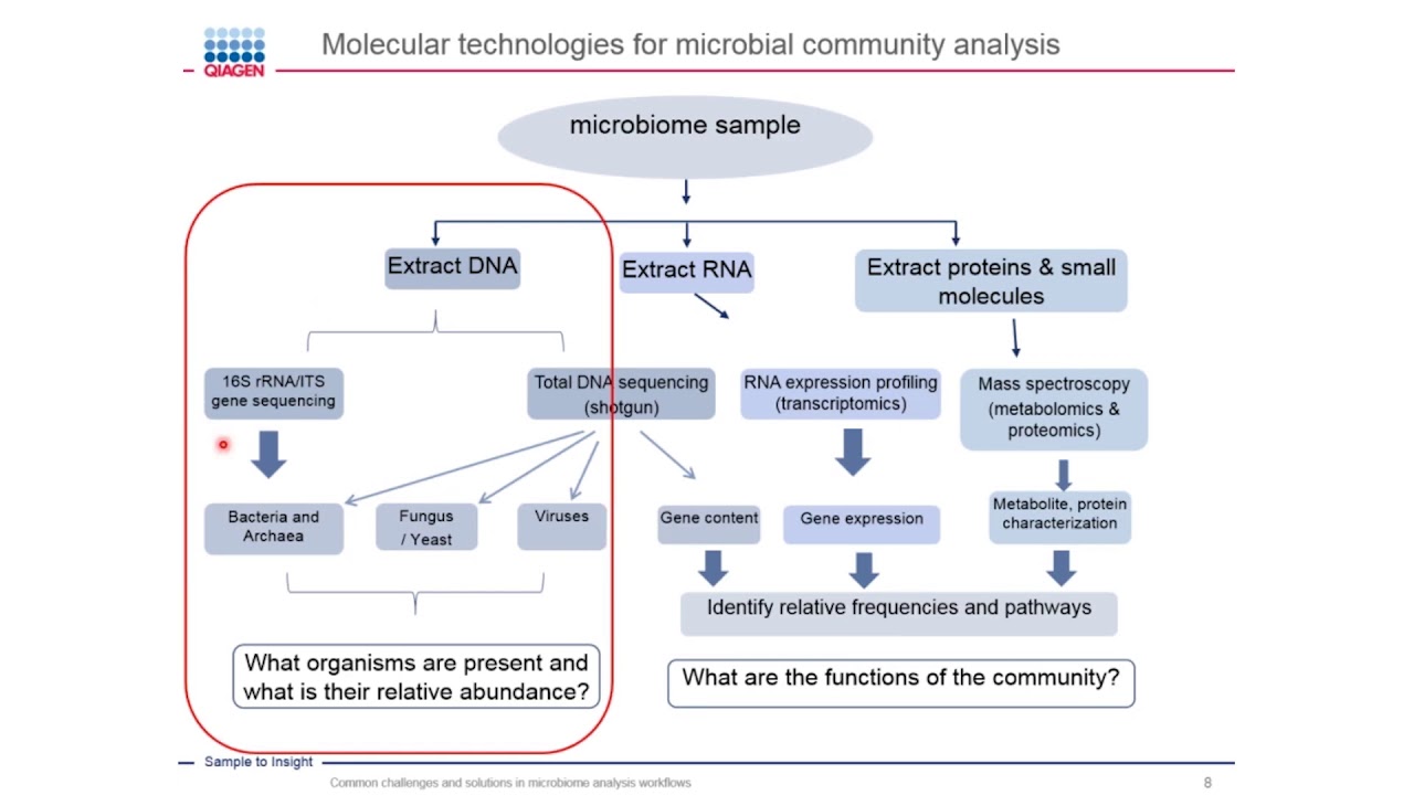 Common challenges and solutions in microbiome analysis workflows